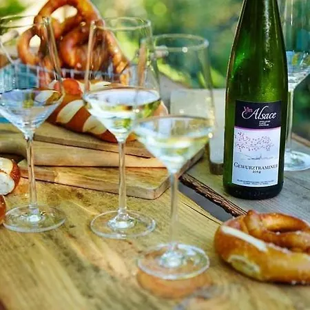 アパート Kleber+ Parking+ Balcon *