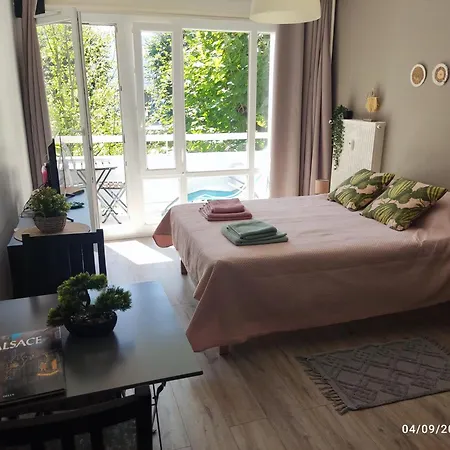 Kleber+ Parking+ Balcon Lejlighed Strasbourg