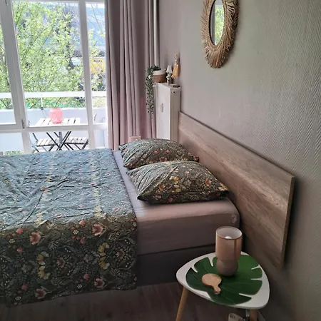 Apartment Kleber+ Parking+ Balcon Strasbourg