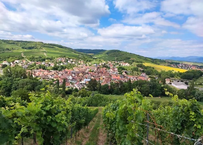 Kleber+ Parking+ Balcon Apartment Straßburg