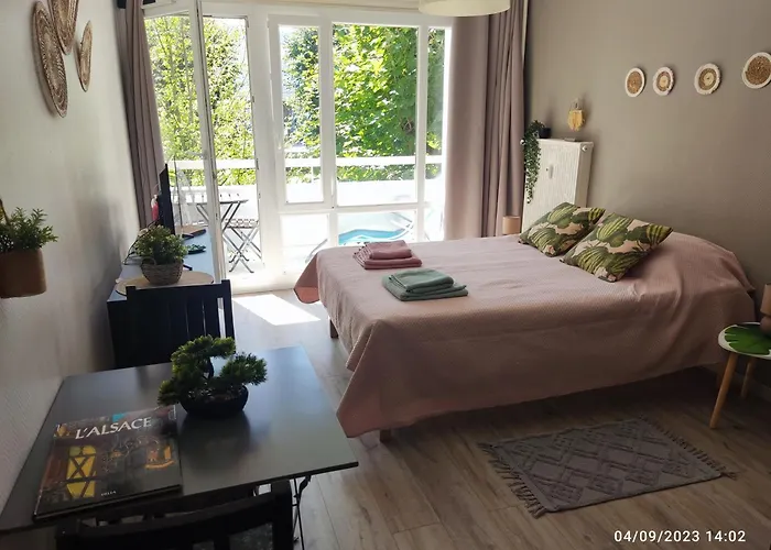 Kleber+ Parking+ Balcon Apartment Straßburg