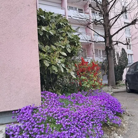 Kleber+ Parking+ Balcon Apartman Strasbourg