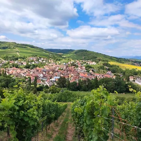 Kleber+ Parking+ Balcon Appartement Strasbourg
